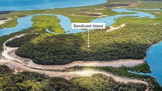 No bandying about: private Bandicoot Island up for (Openn) negotiation